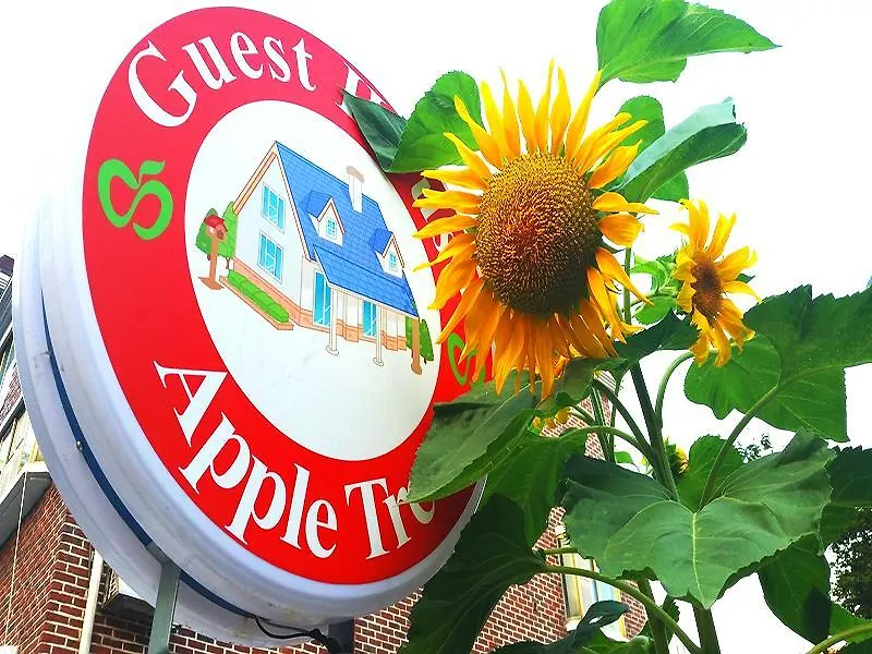 Apple Tree Guest House Seoul
